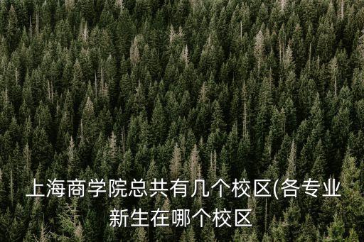 上海建設(shè)國際貿(mào)易中心