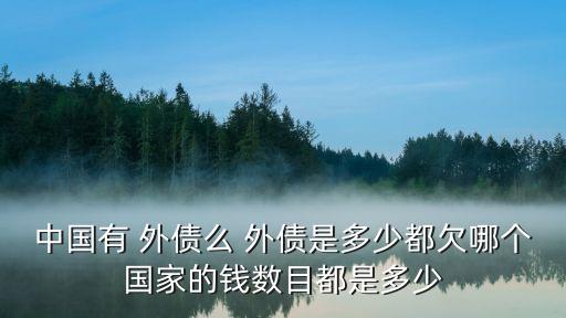 中國有 外債么 外債是多少都欠哪個(gè)國家的錢數(shù)目都是多少