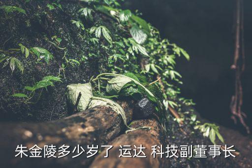 朱金陵多少歲了 運(yùn)達(dá) 科技副董事長