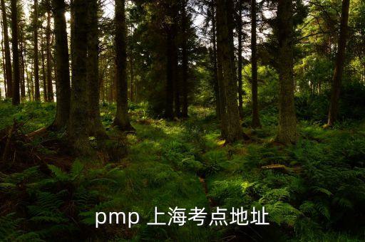 pmp 上?？键c地址