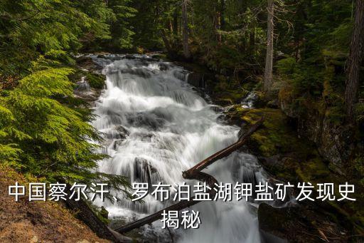 中國察爾汗、羅布泊鹽湖鉀鹽礦發(fā)現(xiàn)史揭秘