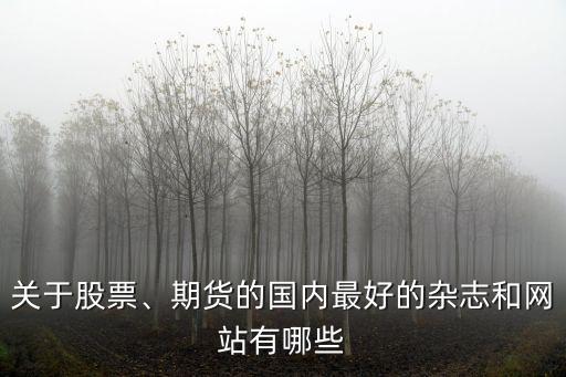 關(guān)于股票、期貨的國內(nèi)最好的雜志和網(wǎng)站有哪些