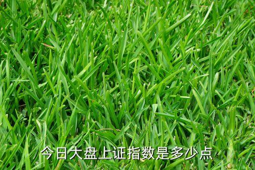 今日大盤(pán)上證指數(shù)是多少點(diǎn)