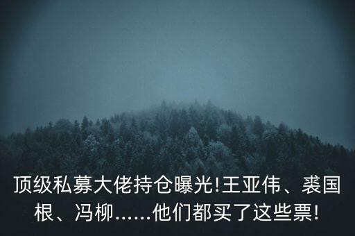 頂級私募大佬持倉曝光!王亞偉、裘國根、馮柳……他們都買了這些票!