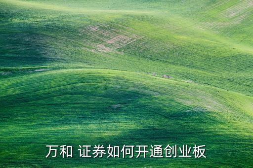 萬(wàn)和 證券如何開通創(chuàng)業(yè)板