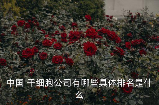中國(guó) 干細(xì)胞公司有哪些具體排名是什么