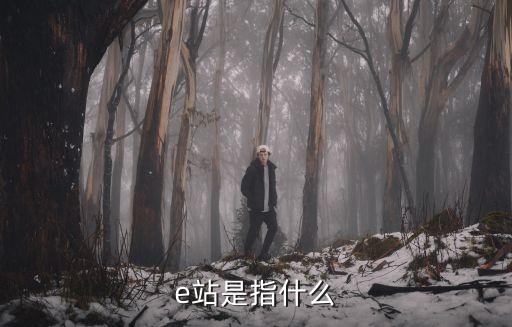 e站是指什么