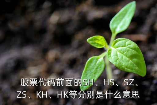  股票代碼前面的SH、HS、SZ、ZS、KH、HK等分別是什么意思