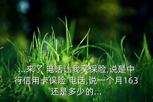 ...來(lái)了 電話讓我買(mǎi)保險(xiǎn),說(shuō)是中行信用卡保險(xiǎn) 電話,說(shuō)一個(gè)月163還是多少的...