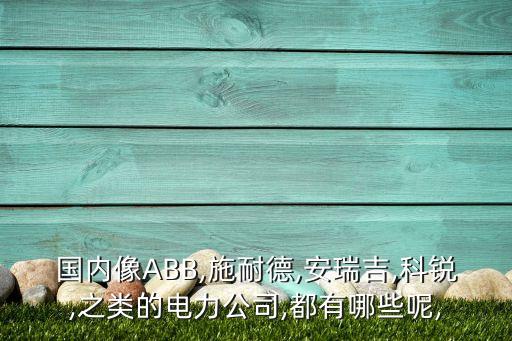 國內(nèi)像ABB,施耐德,安瑞吉,科銳,之類的電力公司,都有哪些呢,