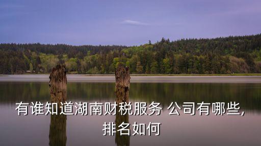 國內(nèi)融資租賃公司排名,山東省融資租賃公司排名