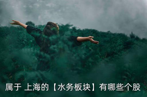 屬于 上海的【水務板塊】有哪些個股