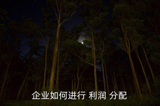 企業(yè)如何進行 利潤 分配