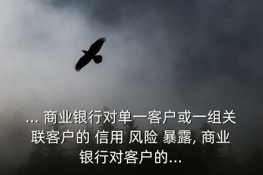 ... 商業(yè)銀行對(duì)單一客戶或一組關(guān)聯(lián)客戶的 信用 風(fēng)險(xiǎn) 暴露, 商業(yè)銀行對(duì)客戶的...