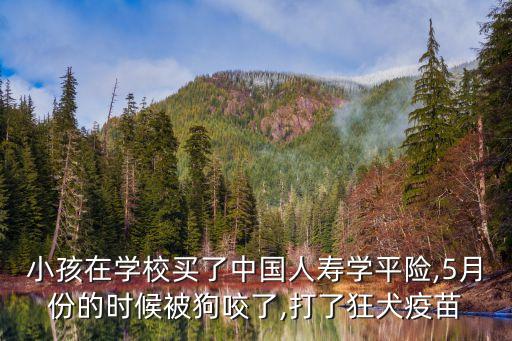 小孩在學校買了中國人壽學平險,5月份的時候被狗咬了,打了狂犬疫苗