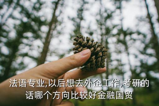 法語專業(yè),以后想去外企工作,考研的話哪個(gè)方向比較好金融國(guó)貿(mào)