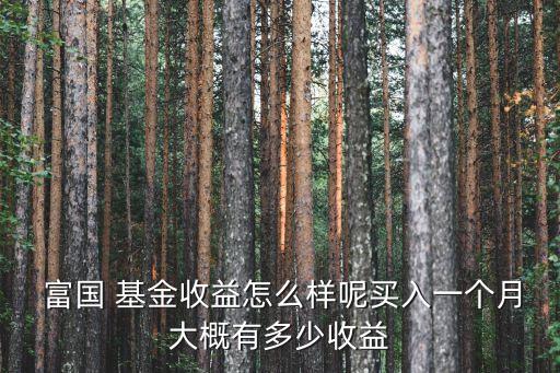 富國(guó)基金定投