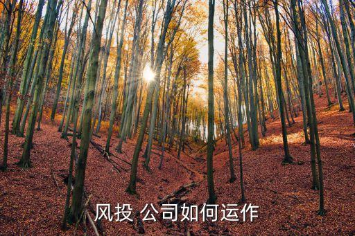 風險投資公司是做什么的,上海風險投資公司前十名
