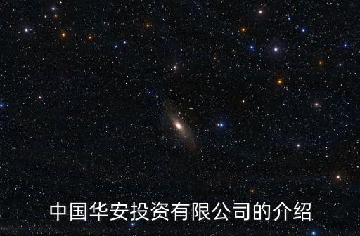 中國華安投資有限公司的介紹