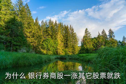 為什么 銀行券商股一漲其它股票就跌