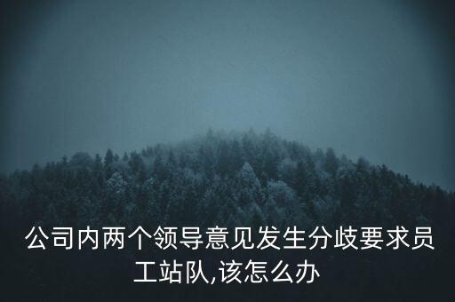  公司內(nèi)兩個領導意見發(fā)生分歧要求員工站隊,該怎么辦