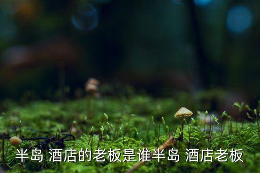 半島 酒店的老板是誰(shuí)半島 酒店老板