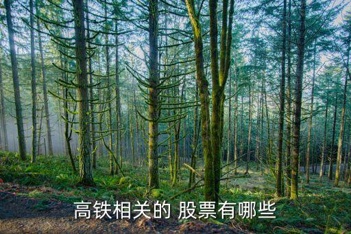高鐵相關(guān)的 股票有哪些