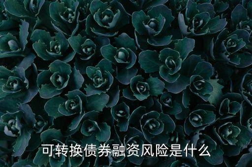 可轉(zhuǎn)換債券融資風險是什么