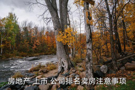房地產(chǎn) 上市 公司排名賣(mài)房注意事項(xiàng)