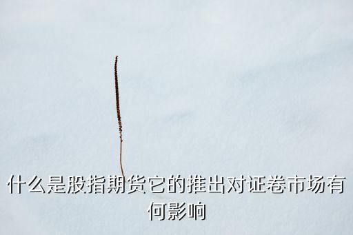 股票市場價(jià)格發(fā)現(xiàn)功能研究意義,研究和發(fā)現(xiàn)股票的并將其與市場價(jià)格相比較