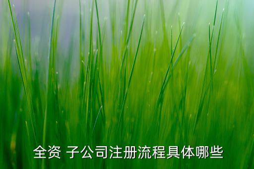  全資 子公司注冊(cè)流程具體哪些