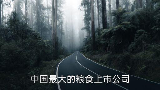 中國最大的糧食上市公司