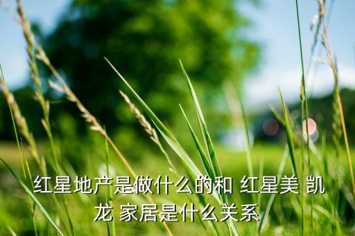 上海紅星美凱龍家居集團有限公司,烏魯木齊紅星美凱龍家居世博廣場有限公司