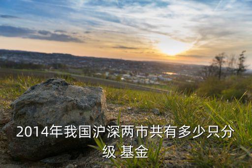 2014年我國(guó)滬深兩市共有多少只分級(jí) 基金