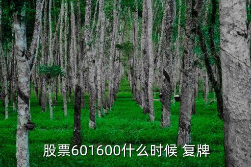  股票601600什么時候 復牌