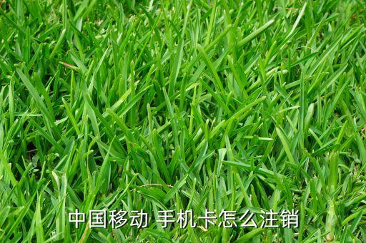 中國手機用戶圖,榮耀手機用戶數(shù)據(jù)圖