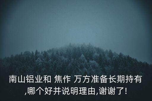南山鋁業(yè)和 焦作 萬方準(zhǔn)備長(zhǎng)期持有,哪個(gè)好并說明理由,謝謝了!