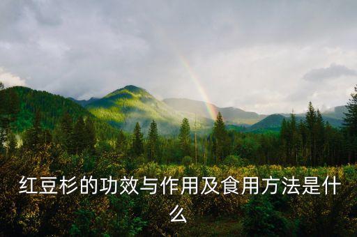  紅豆杉的功效與作用及食用方法是什么