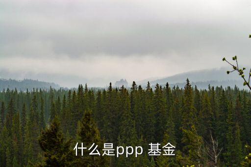什么是ppp 基金