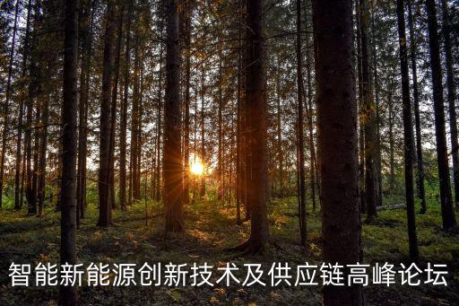 智能新能源創(chuàng)新技術及供應鏈高峰論壇