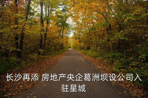 湖南豐盛房地產(chǎn)開發(fā)有限公司,臺(tái)山市豐盛房地產(chǎn)開發(fā)有限公司