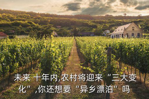 農(nóng)業(yè)投資未來十年,中國未來十年農(nóng)業(yè)發(fā)展趨勢