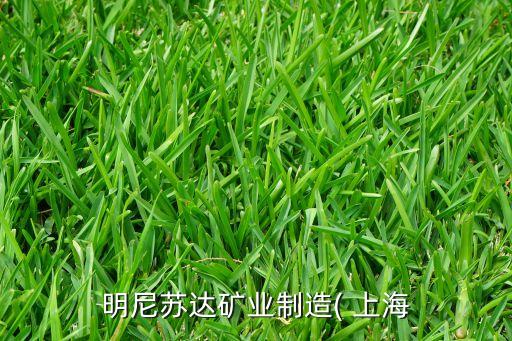 明尼蘇達礦業(yè)制造( 上海