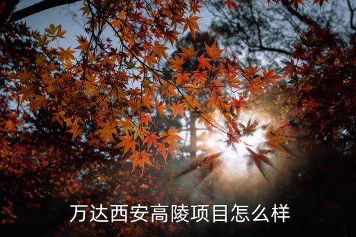 萬(wàn)達(dá)商業(yè)地產(chǎn)投資建設(shè),萬(wàn)達(dá)為什么賣掉商業(yè)地產(chǎn)