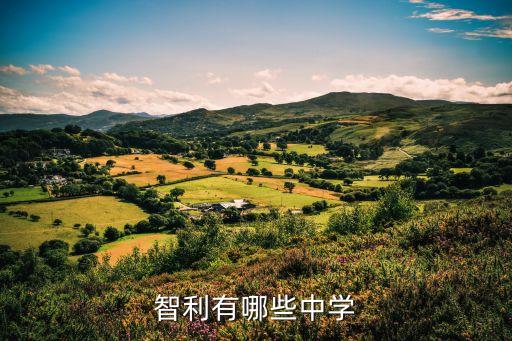 林肯國際中國,廣州林肯國際高中