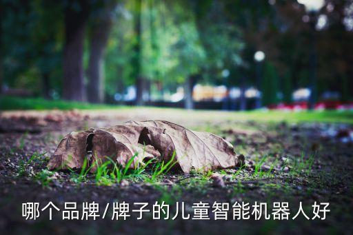 哪個品牌/牌子的兒童智能機器人好