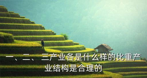 一、二、 三產(chǎn)業(yè)各是什么樣的比重產(chǎn)業(yè)結(jié)構(gòu)是合理的