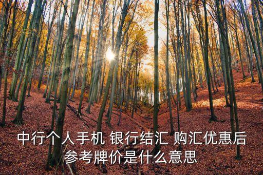 中行個人手機(jī) 銀行結(jié)匯 購匯優(yōu)惠后參考牌價是什么意思