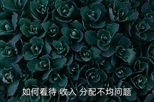 如何看待 收入 分配不均問題