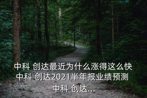 世界級公司中科創(chuàng)達(dá),和中科創(chuàng)達(dá)一樣的公司
